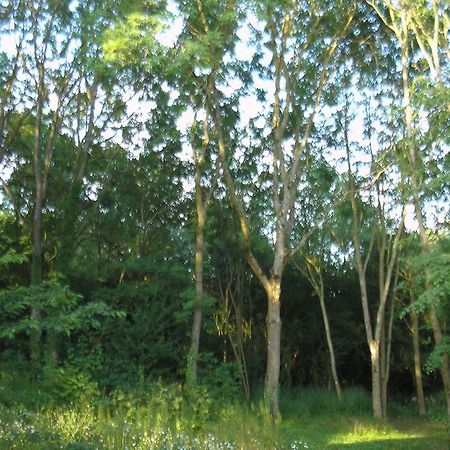 Gite "La Solitude" Licques Pokój zdjęcie