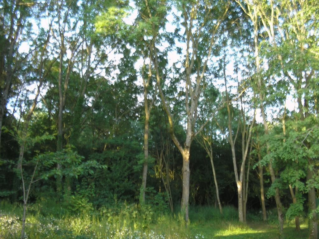Gite "La Solitude" Licques Pokój zdjęcie